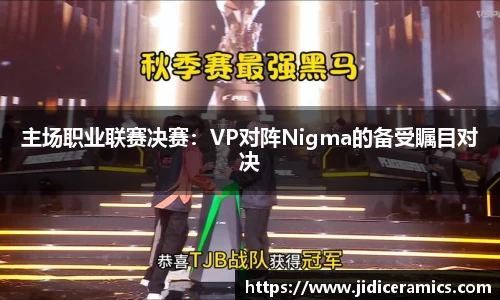 主场职业联赛决赛：VP对阵Nigma的备受瞩目对决
